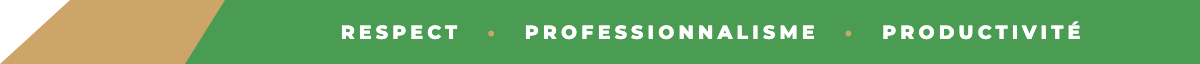 Respect · Professionnalisme · Productivité